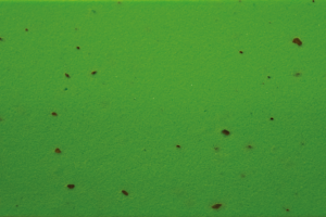 accessori bici - nastri manubri