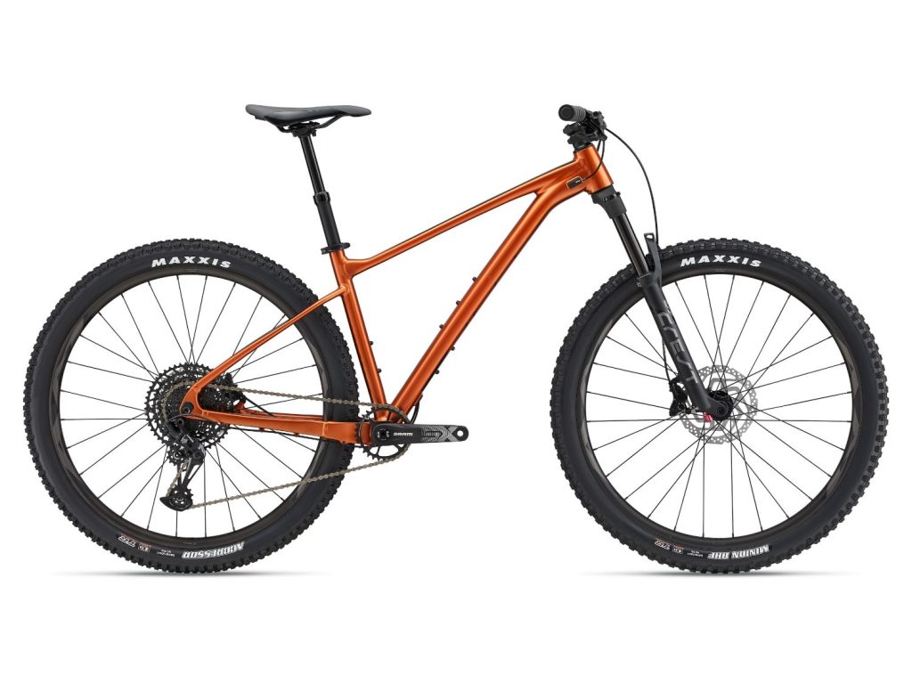 Giant Fathom 29 1